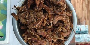 Tamarind