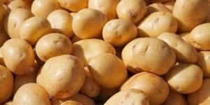 Potatoes