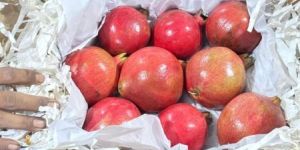 Fresh Pomegranate