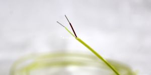 Thermocouple Cables