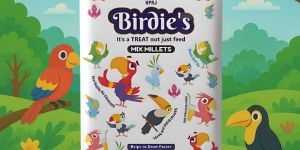 500g Mix Millet Seeds