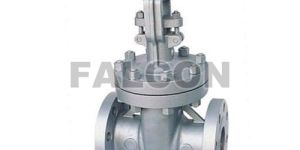 Cast Steel Globe Valve