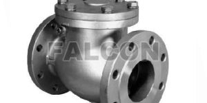 Stainless Steel Check Valves