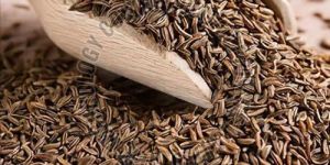 Cumin Seeds