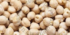 White Chickpeas