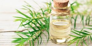 Tea Tree Oil