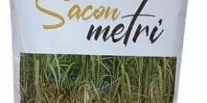 Powder 70% Metribuzin WP Herbicide