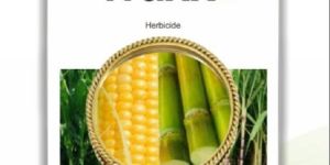 Shivalik Traxx Atrazine Herbicide