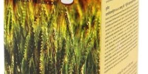 Sulfosulfuron 75% Wg