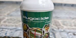 Rugocide Rugose Spiraling White Fly Pesticide