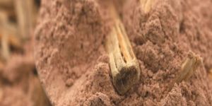 100% Pure Sandalwood Powder