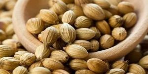 Coriander Seeds