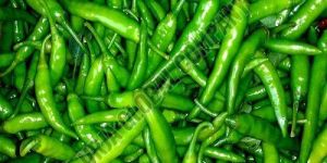 Fresh Green Chilli