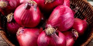 Fresh Red Onion