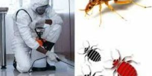 Pest Control Service