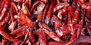 a Grade Dry Red Chilli