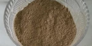 Pudina Powder