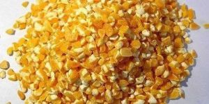 Crushed Cattle Feed Maize