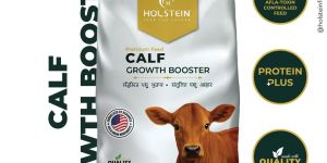 Holstein Calf Growth Booster Best Organic Calf Growth Cattle Feed