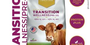 Holstein Transition Wellness (Pre-20) Premium Transition Cattle Feeds