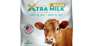 holstein xtra milk mash balanced nutrition cattle feed