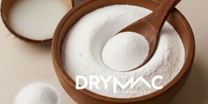 Spray Dried Tender Coconut Water Powder