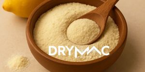 Spray Dried Lemon Juice Powder