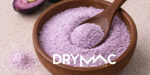 Spray Dried Jamun Powder