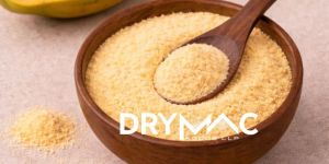 Spray Dried Papaya Powder