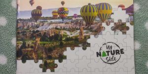 172 Pages Class Notebook