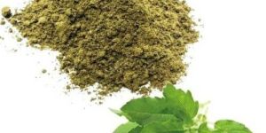 Dehydrated Tulsi Powder