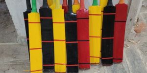 Customized Colour Kashmiri Willow Cricket Bat