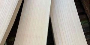 Grade 1 English Willow Cricket Bat