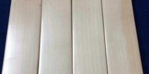 Grade 2 English Willow Cricket Bat