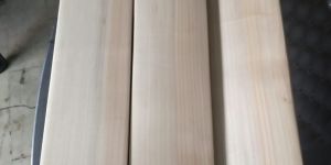 Kashmir Willow Leather Ball Cricket Bat