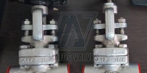 Forged Steel Globe Valve