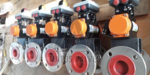 SS Flange End Ball Valve