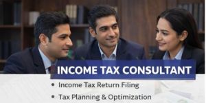 Income Tax Consultant