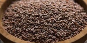 Brown Psyllium Seed