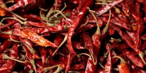 Kashmiri Dry Red Chilli