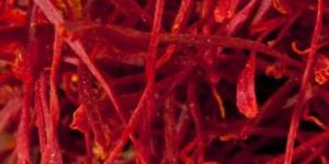 Organic Red Saffron