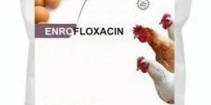 Enrofloxacin
