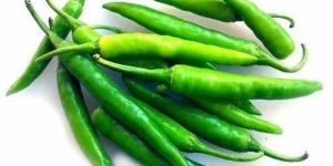 Fresh Green Chilli