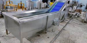 Fruits and Vegetable Washer Machine