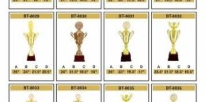 Metal Trophy Cup for Sports & Corporate Awards