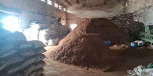 Cocopeat Growbags