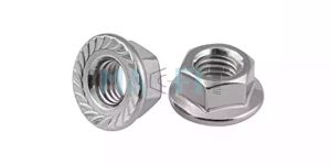Stainless Steel Hex Flange Nut