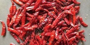 Dry Red Chillies