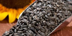 Sunflower Seeds