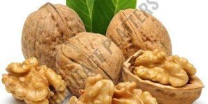 Walnut Kernels